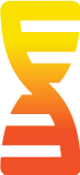 Helix element from the FMSM logo in a gradient from the top (yellow) down to bottom (red)