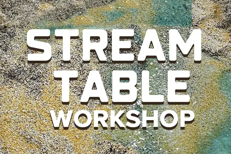 Stream Table Workshop